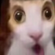 八闽神龙万萧卓