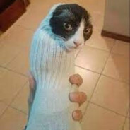 SŦĐ гена санчоус