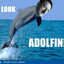 Adolfin