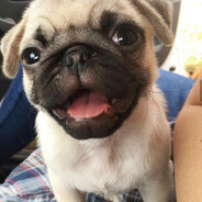 𝐬𝐚𝐲𝐫𝐞𝐳