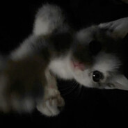 𝕽𝖝𝖘𝖕𝖊𝖈𝖙