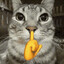 my.moew