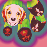 Player Avatar
