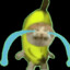 VKG_banana caT-T