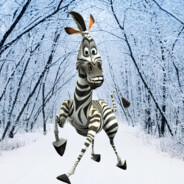 coldzebra