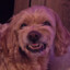 Nugget