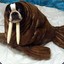 Wistful Walrus