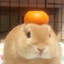 xTsuzumi