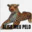 Alisa meu pelo