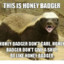 Honey Badger MC