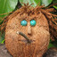 Don&#039;t Be A Coconut