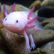 盐城の纯真一郎