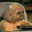Vladds_Sausage