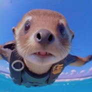 非洲大陆发情土拨鼠