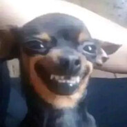 喜欢你是我的秘密