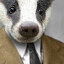 Stinky Feral Badger
