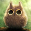 WiseOwl