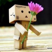 双木林健康的康