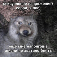 Запитан Калупа