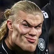 Skjægglamaister