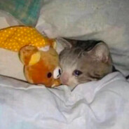 必须说四次我做不到