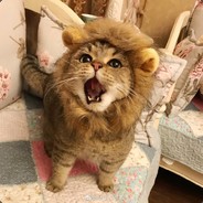 nǐzěm0zhèm0z1sī?!