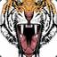 Tigerwarrior