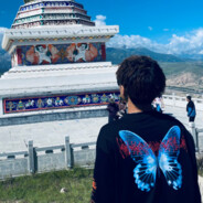 她御剑吟风樱花落