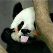 炒鸡无敌小可爱