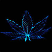 Марихуана Indica