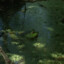 Medu