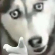 张sir单身没人要