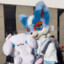 🌈 Bluemoon furry 🌈