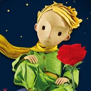 小王子只爱玫瑰