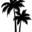 black palm