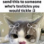 maowuwumeowowo