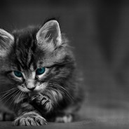 请男孩子主动夹一声，好听，爱听