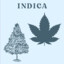 ｉｎｄｉｃａ