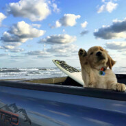 比奇堡第一深情