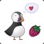 RaspberryPuffin