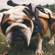 Pashx - steam id 76561198014724014