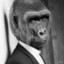 MonkeyGaming