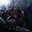 wolfi
