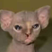 HuegMcChug Steam avatar