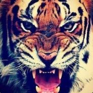 Captain Of Your Soul