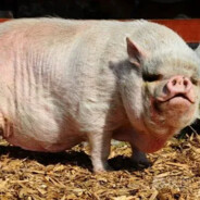 东莞七中高二22班蒋卓涵