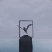 fin