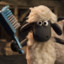 ShaUn the_sheep