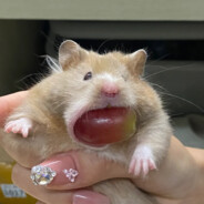 本店招牌钢丝球搓背！