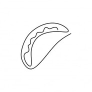 🗿⃤⃢🍷Taco♿